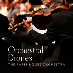 操爽了的动漫美女
